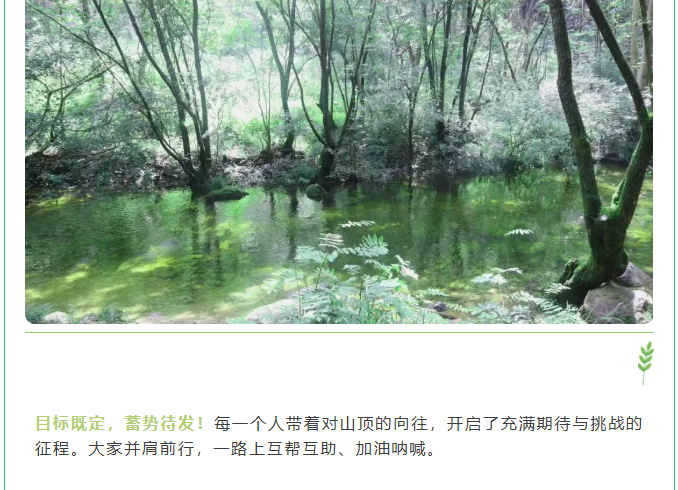 屏幕截圖 2025-07-31 094829.png